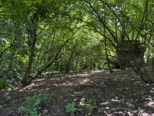 Продам участок 7,3 соток, Фермерское хоз., Биттирова ул, 157, Белая Речка с, 0 км от города