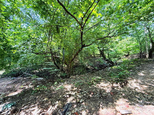 Продам участок 7,3 соток, Фермерское хоз., Биттирова ул, 157, Белая Речка с, 0 км от города