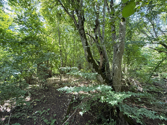 Продам участок 7,3 соток, Фермерское хоз., Биттирова ул, 157, Белая Речка с, 0 км от города