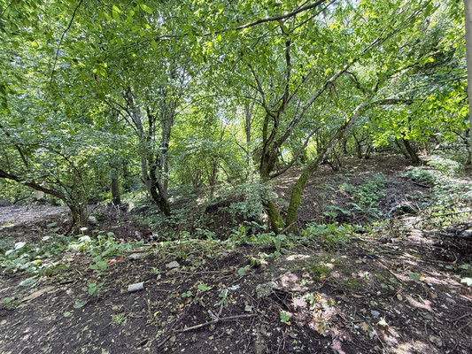 Продам участок 7,3 соток, Фермерское хоз., Биттирова ул, 157, Белая Речка с, 0 км от города