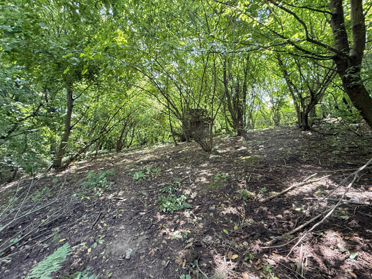 Продам участок 7,3 соток, Фермерское хоз., Биттирова ул, 157, Белая Речка с, 0 км от города