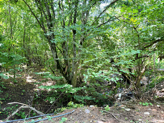 Продам участок 7,3 соток, Фермерское хоз., Биттирова ул, 157, Белая Речка с, 0 км от города