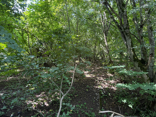 Продам участок 7,3 соток, Фермерское хоз., Биттирова ул, 157, Белая Речка с, 0 км от города