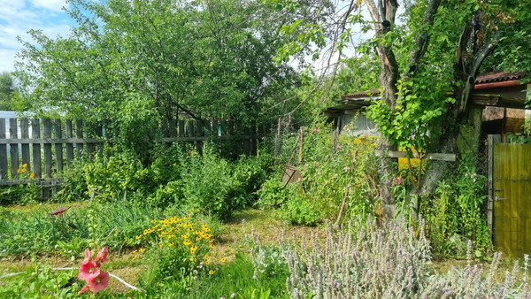 Продам дачу, Южная 5-я ул, 66, Химик-1 тер. СНТ, 0 км от города