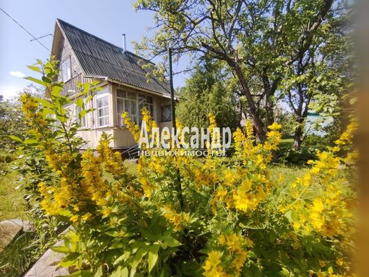 Продам дачу в поселке Атмосфера, ЛОС тер. СНТ, 163, Массив Мшинская тер, 90 км от города
