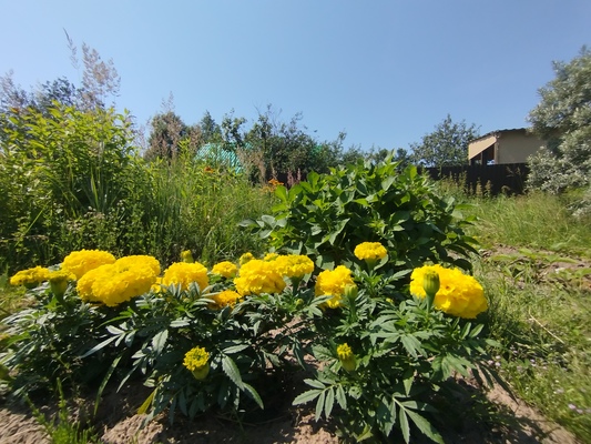 Продам участок 5 соток, Садоводство, снт Березка ТЭЦ-1 тер, 25 км от города