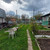 Продам дачу, СНТ Березка-7 (Климовск мкр.) тер, 19, Подольск г, 0 км от города