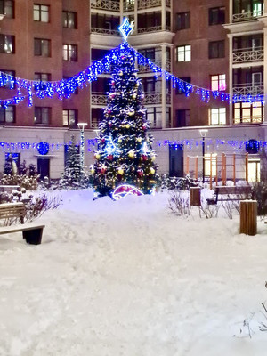 Продам однокомнатную (1-комн.) квартиру, Плесецкая ул, 2, Санкт-Петербург г