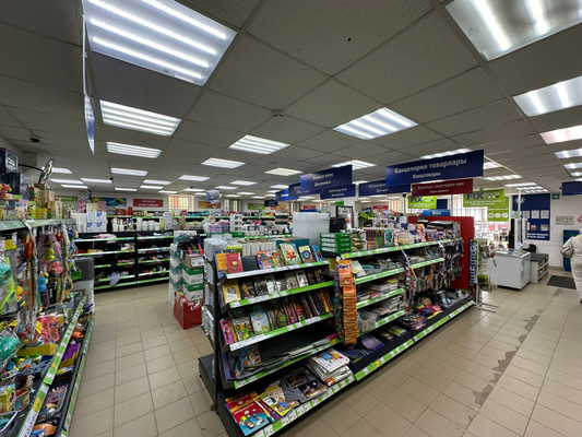 Продам коммерческое помещение 268 м2, Заикина ул, 8, Зеленодольск г