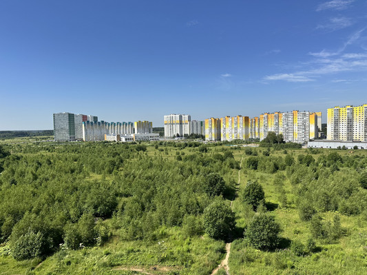 Продам однокомнатную (1-комн.) квартиру, многоэтажной жилой застройки Мелодия лес кв-л, 8, Голубое д