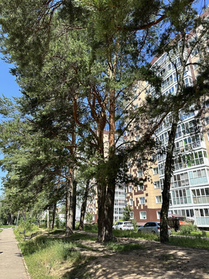 Продам однокомнатную (1-комн.) квартиру, многоэтажной жилой застройки Мелодия лес кв-л, 8, Голубое д