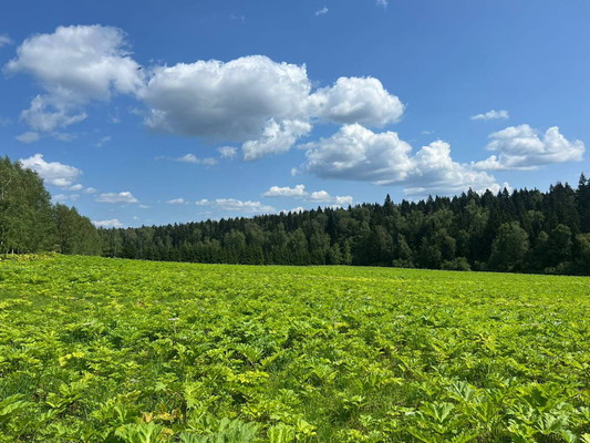 Продам участок 2,5 соток, ИЖС, Хлопенево д, 0 км от города