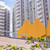 Продам двухкомнатную (2-комн.) квартиру, Кашёнкин Луг ул, 8к1, Москва г