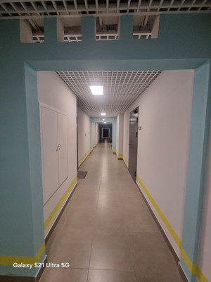 Продам однокомнатную (1-комн.) квартиру, Пейзажная ул, 24к3, Санкт-Петербург г