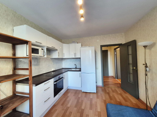 Продам однокомнатную (1-комн.) квартиру, Фёдора Абрамова ул, 23Ак1, Парголово п