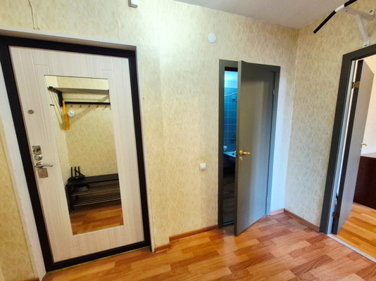Продам однокомнатную (1-комн.) квартиру, Фёдора Абрамова ул, 23Ак1, Парголово п