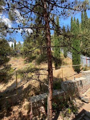 Продам участок 8 соток, ИЖС, Курортный пер, Партенит пгт, 0 км от города