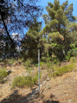 Продам участок 8 соток, ИЖС, Курортный пер, Партенит пгт, 0 км от города