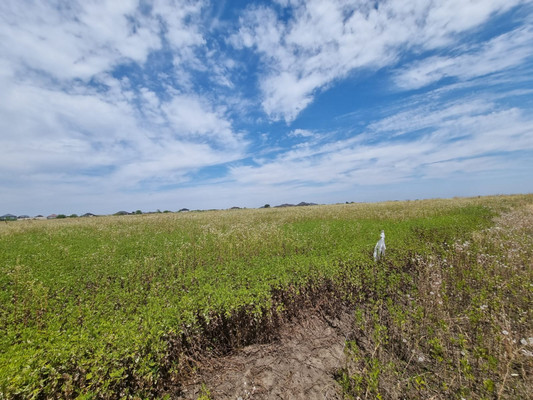 Продам участок 80 соток, ИЖС, 1-й Промпроезд ул, Чегем г, 0 км от города