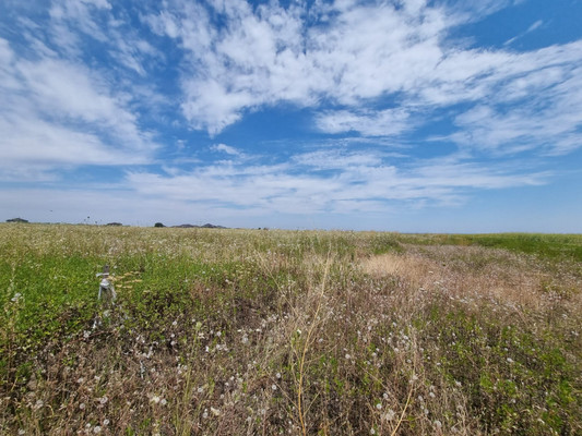 Продам участок 80 соток, ИЖС, 1-й Промпроезд ул, Чегем г, 0 км от города