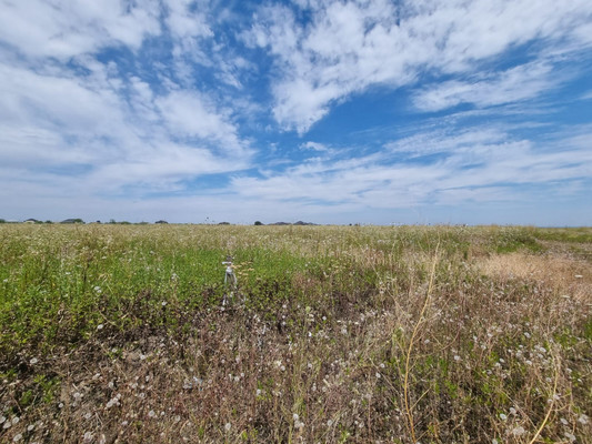 Продам участок 80 соток, ИЖС, 1-й Промпроезд ул, Чегем г, 0 км от города