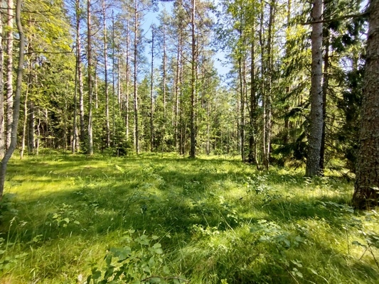 Продам участок 20 соток, СНТ, участок 26, Полянская тер, 90 км от города