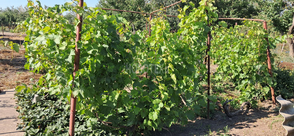 Продам дом, Тоннельная ул, 70А, Каневская ст-ца, 0 км от города