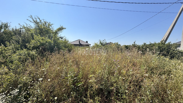 Продам участок 538 соток, ИЖС, Ясная ул, Крымск г, 0 км от города