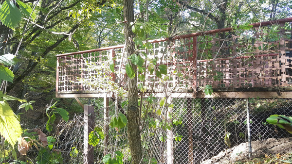 Продам дом, Трудовая ул, 2а, Даманка х, 0 км от города