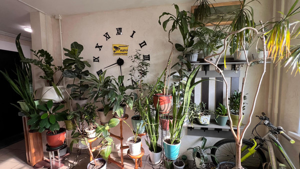 Продам трехкомнатную (3-комн.) квартиру, Астрахова пр-кт, 9, Мытищи г
