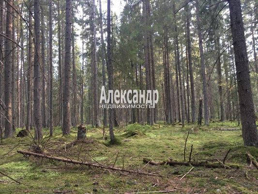 Продам участок 11,4 соток, СНТ, Вяз д, 170 км от города