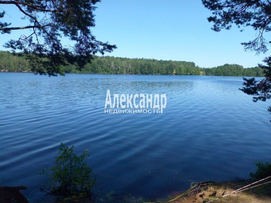 Продам участок 11,4 соток, СНТ, Вяз д, 170 км от города