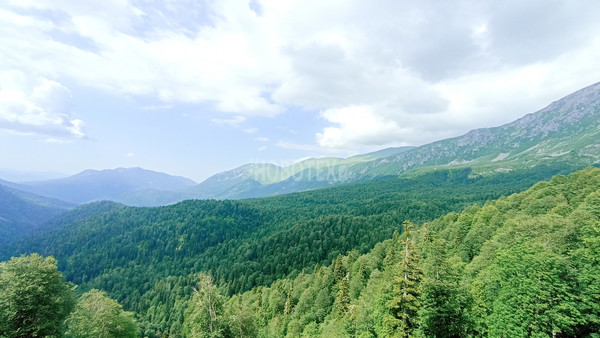 Продам участок 40 соток, ИЖС, Железнодорожная ул, Тубы с, 0 км от города