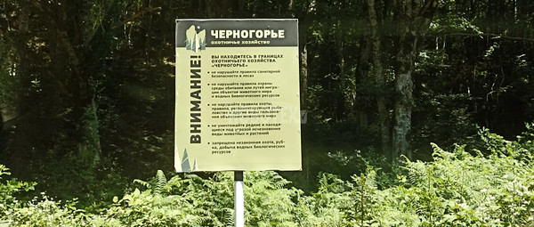 Продам участок 40 соток, ИЖС, Железнодорожная ул, Тубы с, 0 км от города