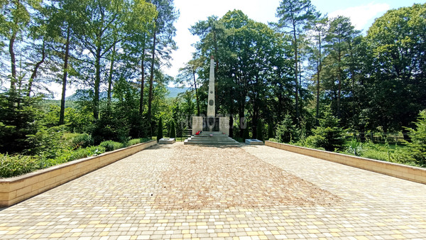 Продам участок 40 соток, ИЖС, Железнодорожная ул, Тубы с, 0 км от города