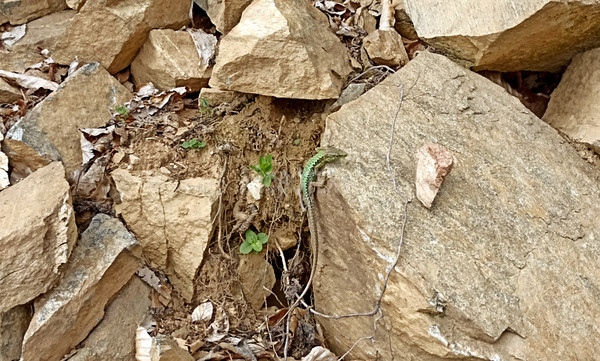 Продам участок 40 соток, ИЖС, Железнодорожная ул, Тубы с, 0 км от города