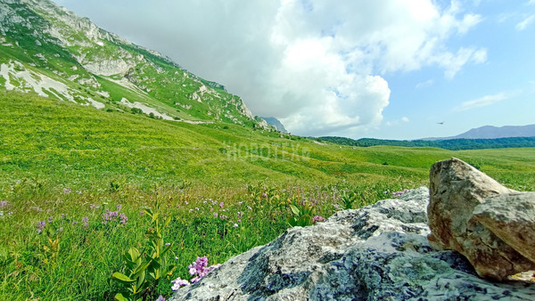 Продам участок 40 соток, ИЖС, Железнодорожная ул, Тубы с, 0 км от города