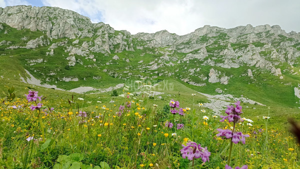 Продам участок 40 соток, ИЖС, Железнодорожная ул, Тубы с, 0 км от города