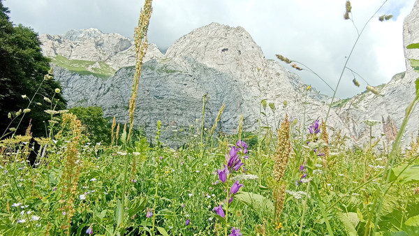 Продам участок 40 соток, ИЖС, Железнодорожная ул, Тубы с, 0 км от города