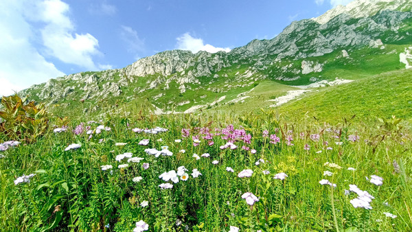 Продам участок 40 соток, ИЖС, Железнодорожная ул, Тубы с, 0 км от города