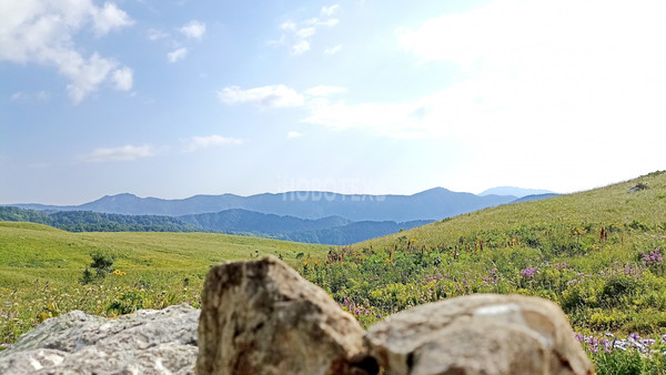 Продам участок 40 соток, ИЖС, Железнодорожная ул, Тубы с, 0 км от города