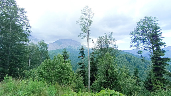 Продам участок 40 соток, ИЖС, Железнодорожная ул, Тубы с, 0 км от города