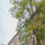 Продам трехкомнатную (3-комн.) квартиру, Зеленый городок ул, 18, Удельная дп