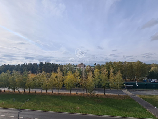 Продам однокомнатную (1-комн.) квартиру, 3-я Нововатутинская ул, 15к1, Десеновское п