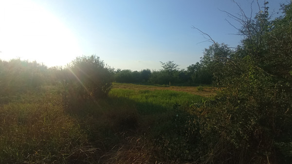 Продам участок 25 соток, ИЖС, Краснодарская ул, Новомышастовская ст-ца, 0 км от города