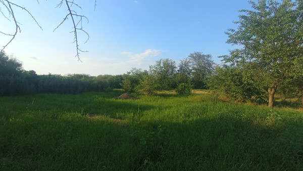 Продам участок 25 соток, ИЖС, Краснодарская ул, Новомышастовская ст-ца, 0 км от города