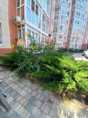 Продам двухкомнатную (2-комн.) квартиру, Мирная ул, 29к4, Анапа г