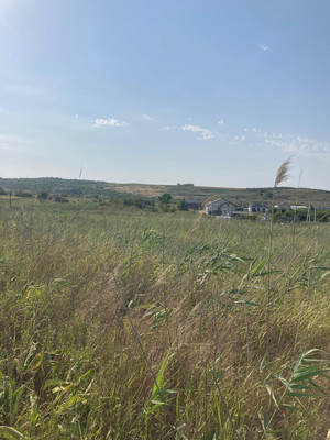 Продам участок 16 соток, Фермерское хоз., 3Б мкр, Анапа г, 0 км от города