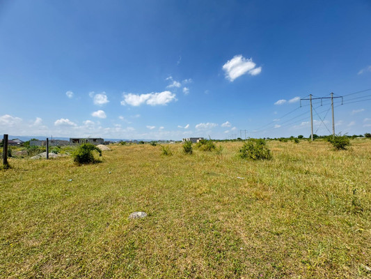 Продам участок 17 соток, ИЖС, им А.А.Ципинова ул, 256, Шалушка с, 0 км от города