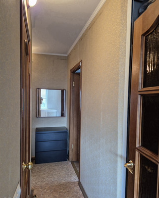 Продам однокомнатную (1-комн.) квартиру, Альпийский пер, 14А, Санкт-Петербург г